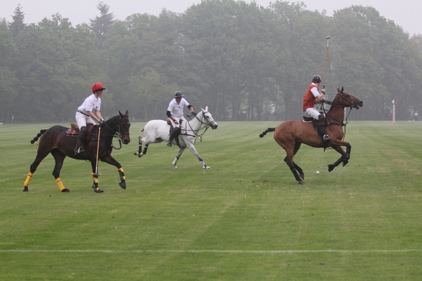 Polo_Art   111.jpg